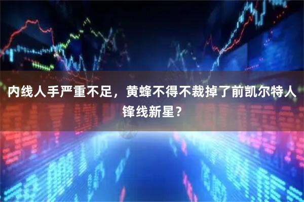 内线人手严重不足，黄蜂不得不裁掉了前凯尔特人锋线新星？